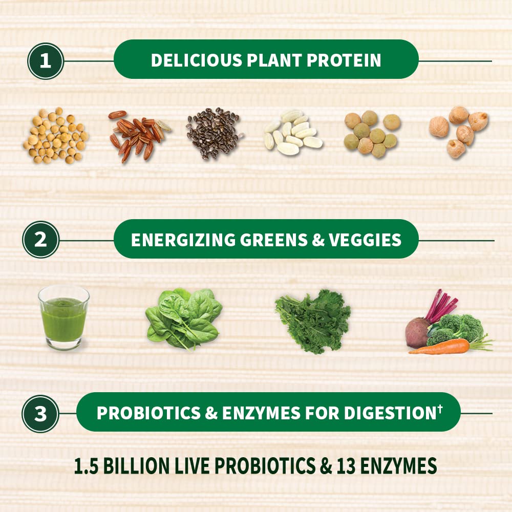 Organic Vegan Protein Powder V146