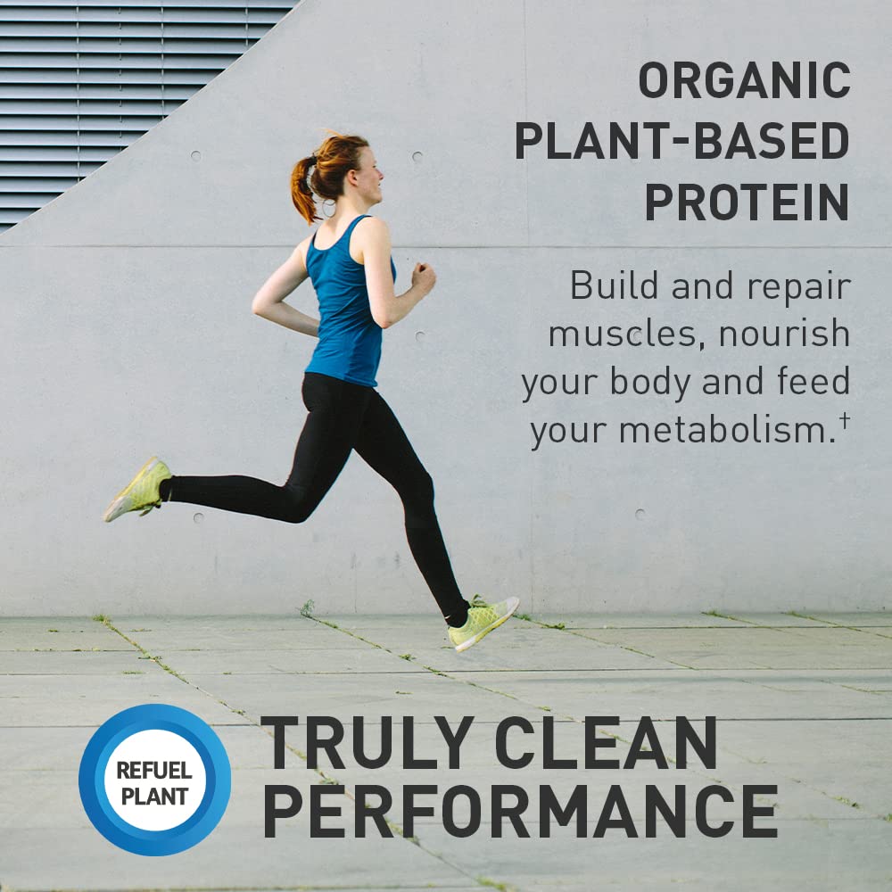 Organic Vegan Protein Powder V146