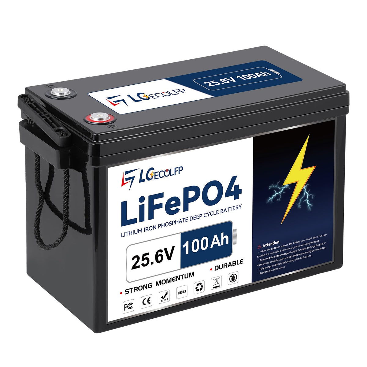 24V 100Ah LiFePO4 Battery with 100A BMS I8018
