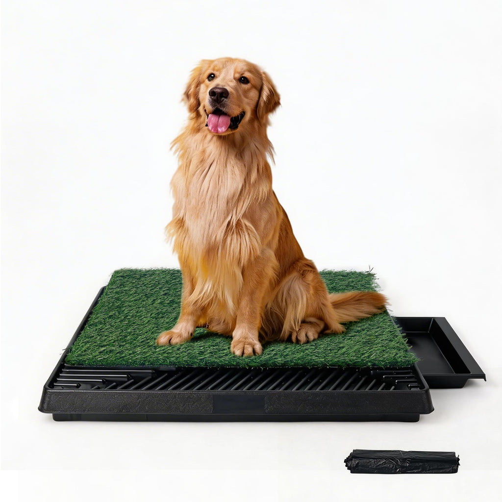 Dog Grass Pad with Tray R55158