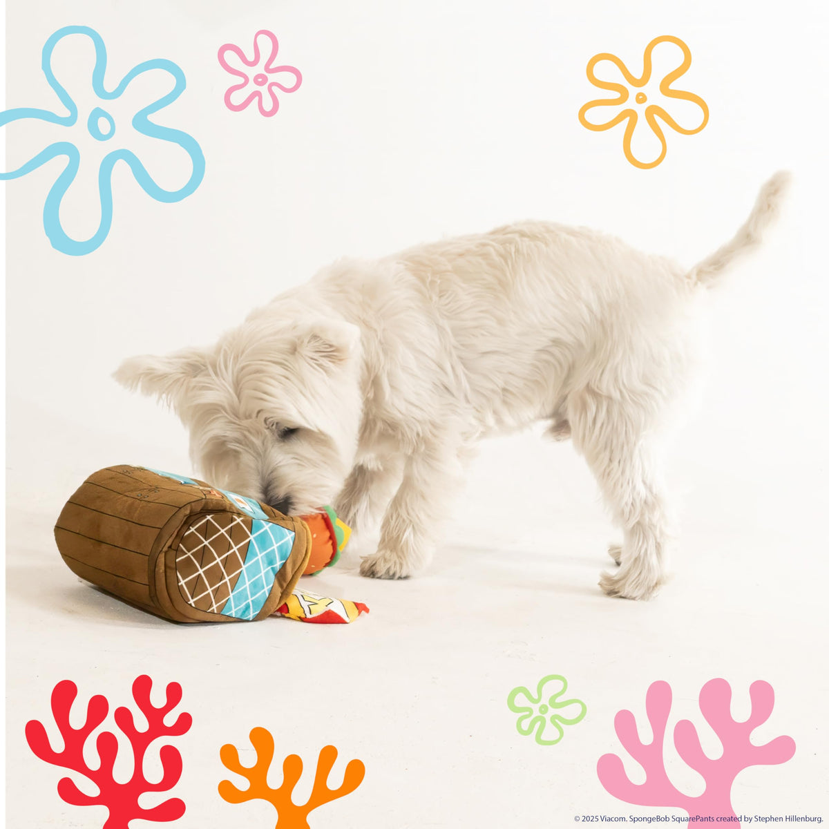 Plush Dog Toys 3-Pack X905