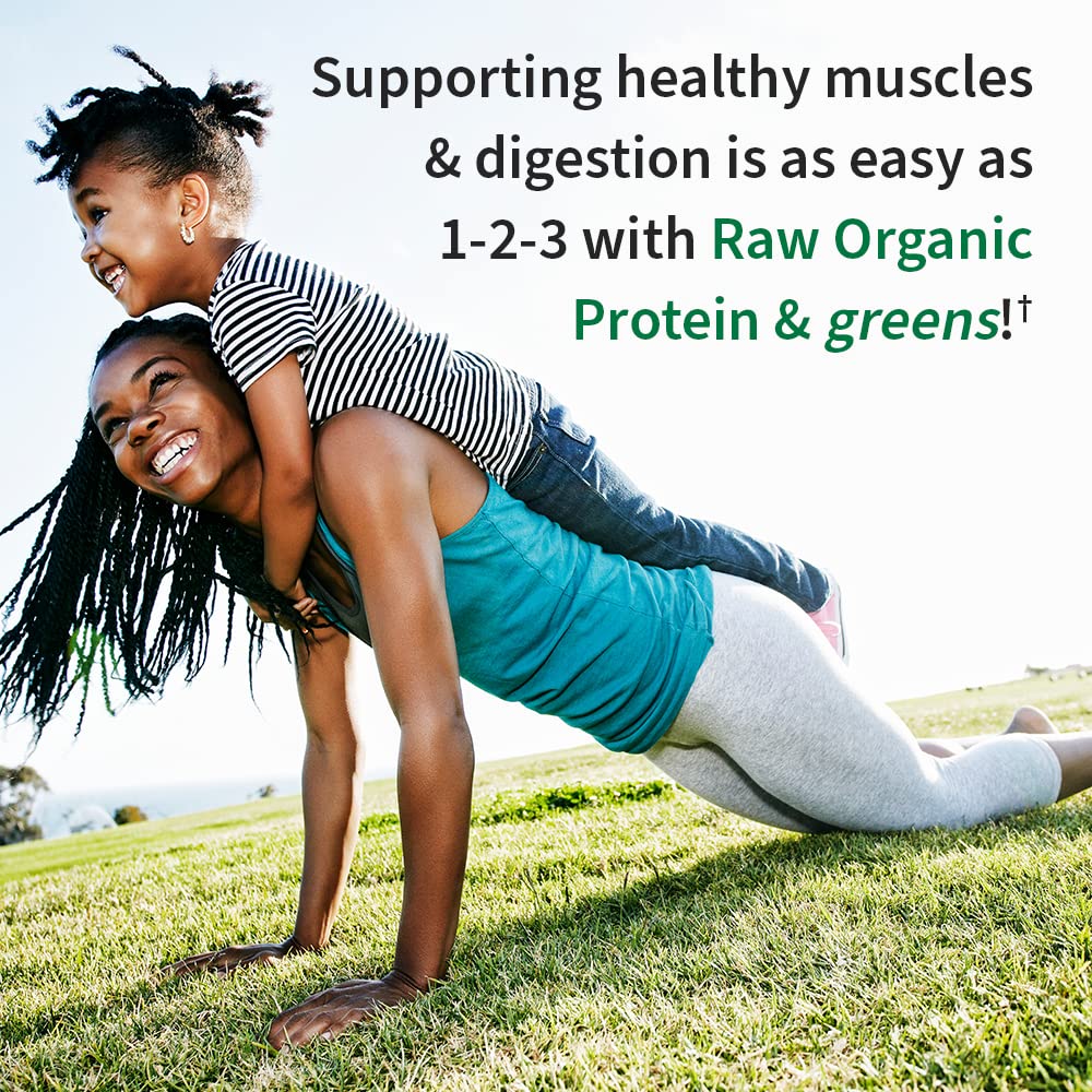 Organic Vegan Protein Powder V146
