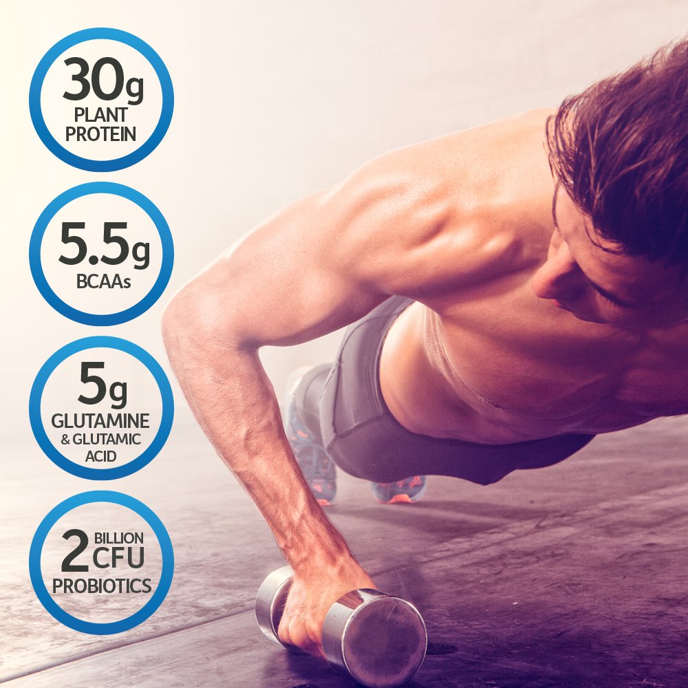 Organic Vegan Protein Powder V146
