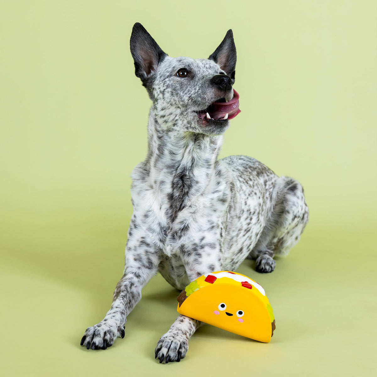 Latex Dog Toy L794