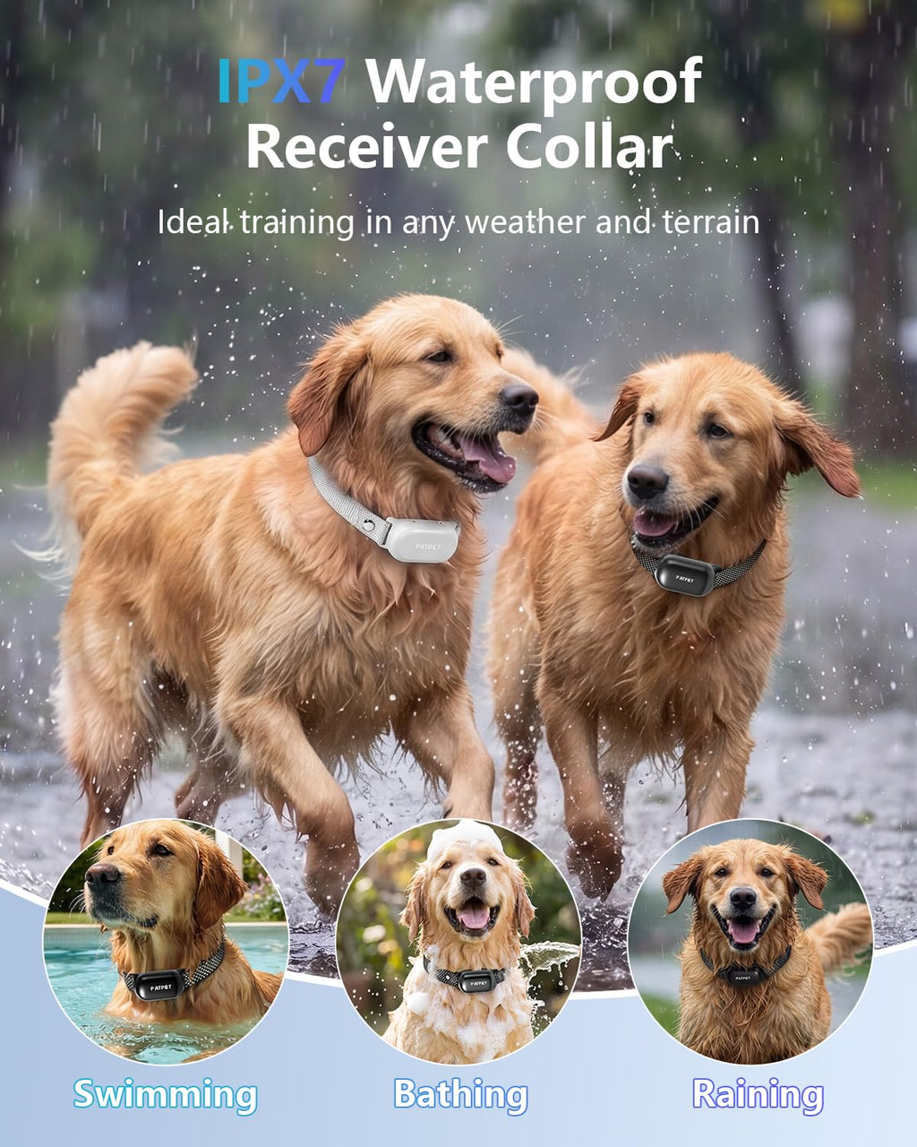 Rechargeable IPX7 Waterproof Dog Training Collar with Remote for 2 Dogs Q181