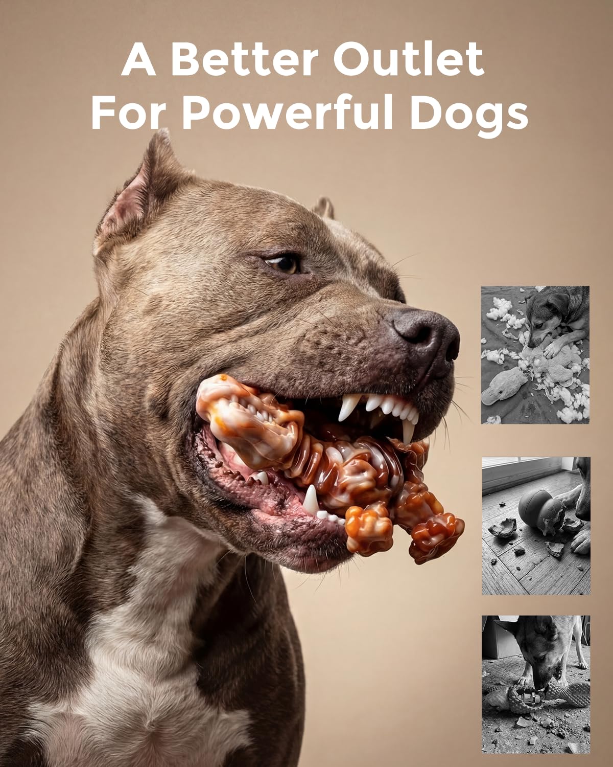 2-Pack Tough Dog Chew Toys M9312