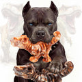 2-Pack Tough Dog Chew Toys M9312
