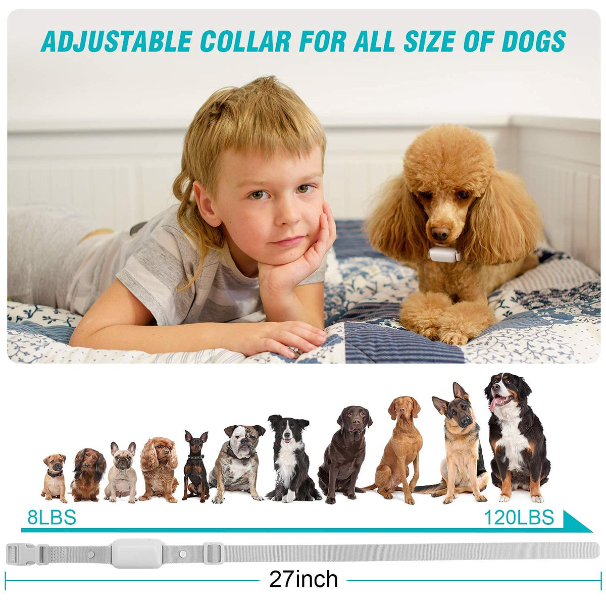 Waterproof Rechargeable Dog Training Collar with Remote E119962