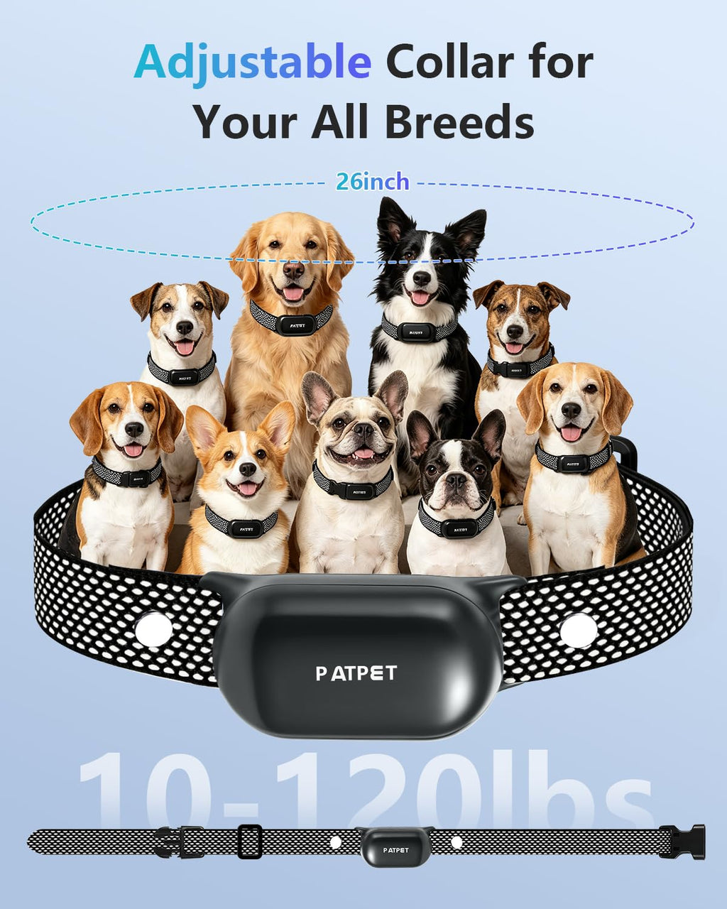 Rechargeable IPX7 Waterproof Dog Training Collar with Remote for 2 Dogs Q181