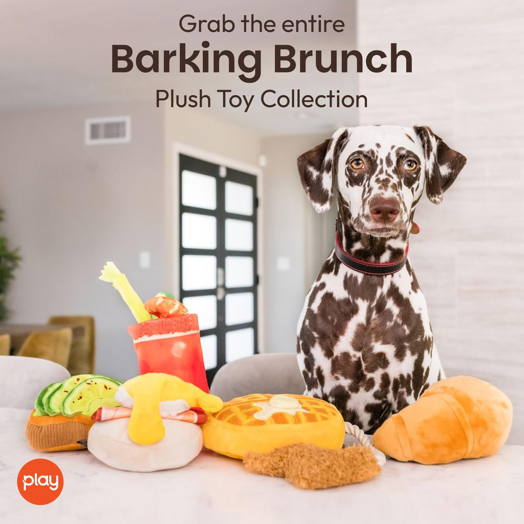 Plush Dog Chew Toy X842