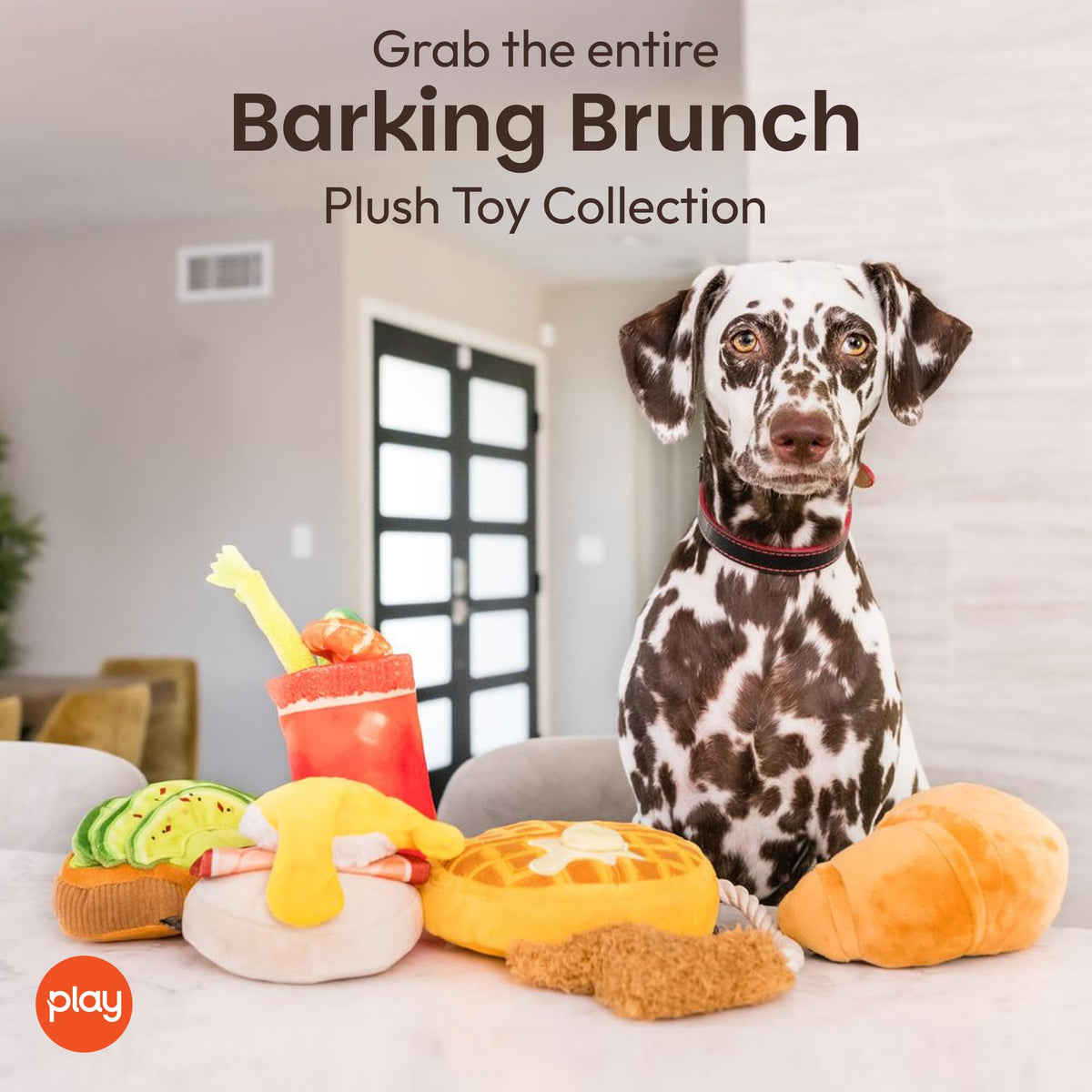 Plush Dog Chew Toy X842
