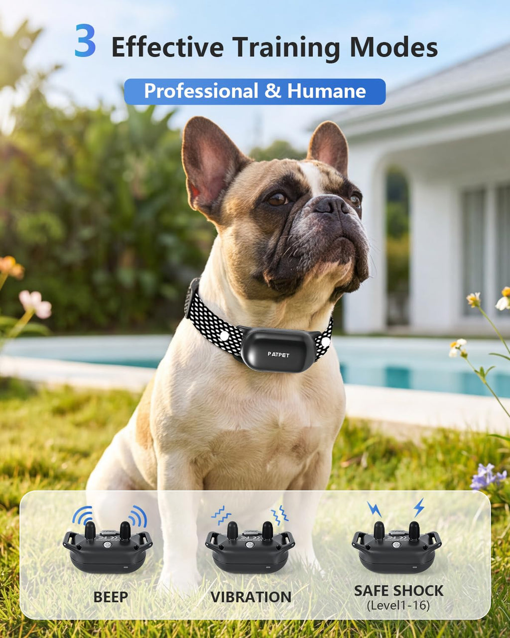 Rechargeable IPX7 Waterproof Dog Training Collar with Remote for 2 Dogs Q181