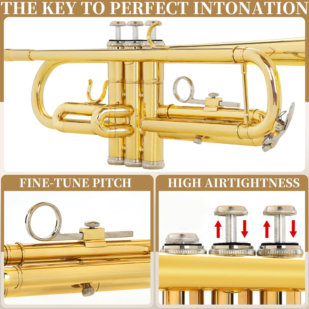 Bb Standard Brass Trumpet with Case, Mouthpiece, Mute, Cleaning Kit J432185