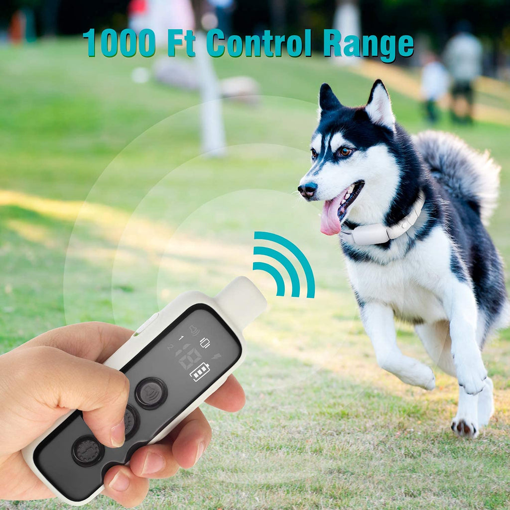 Waterproof Rechargeable Dog Training Collar with Remote E119962