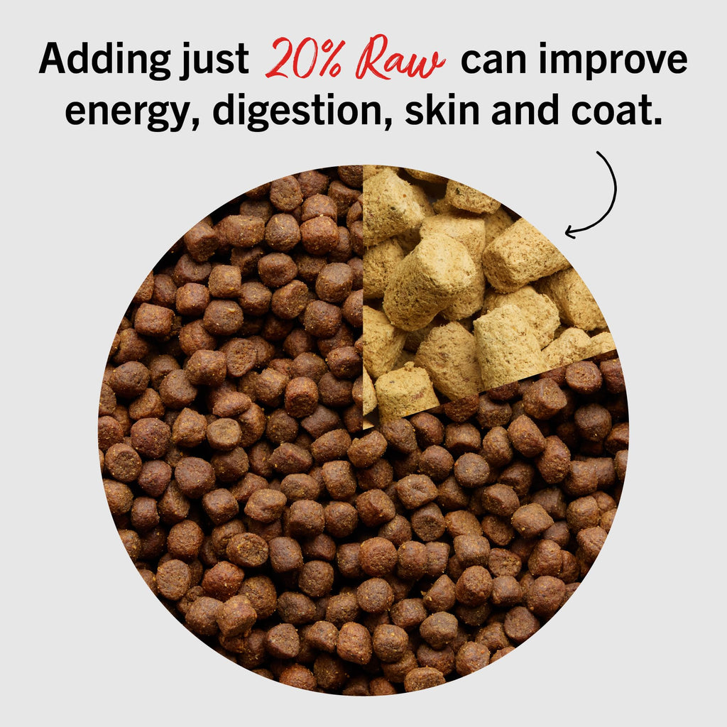 Freeze-Dried Raw Beef Dog Food Topper 8 oz K2415