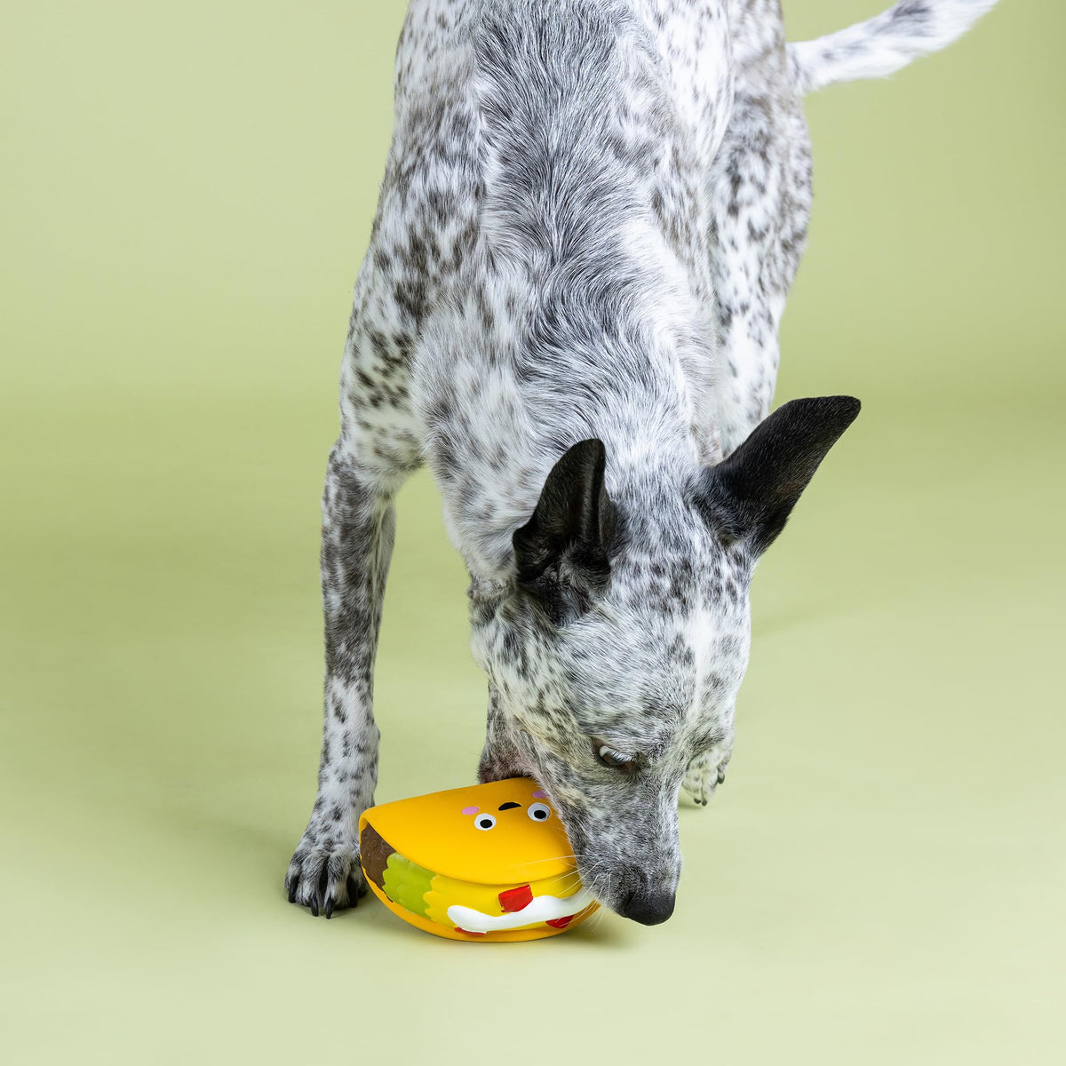 Latex Dog Toy L794