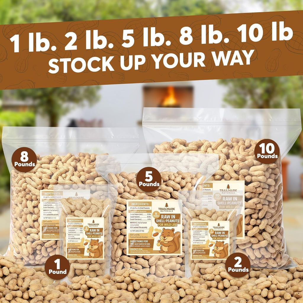 Raw In Shell Peanuts 30 Lb H700557