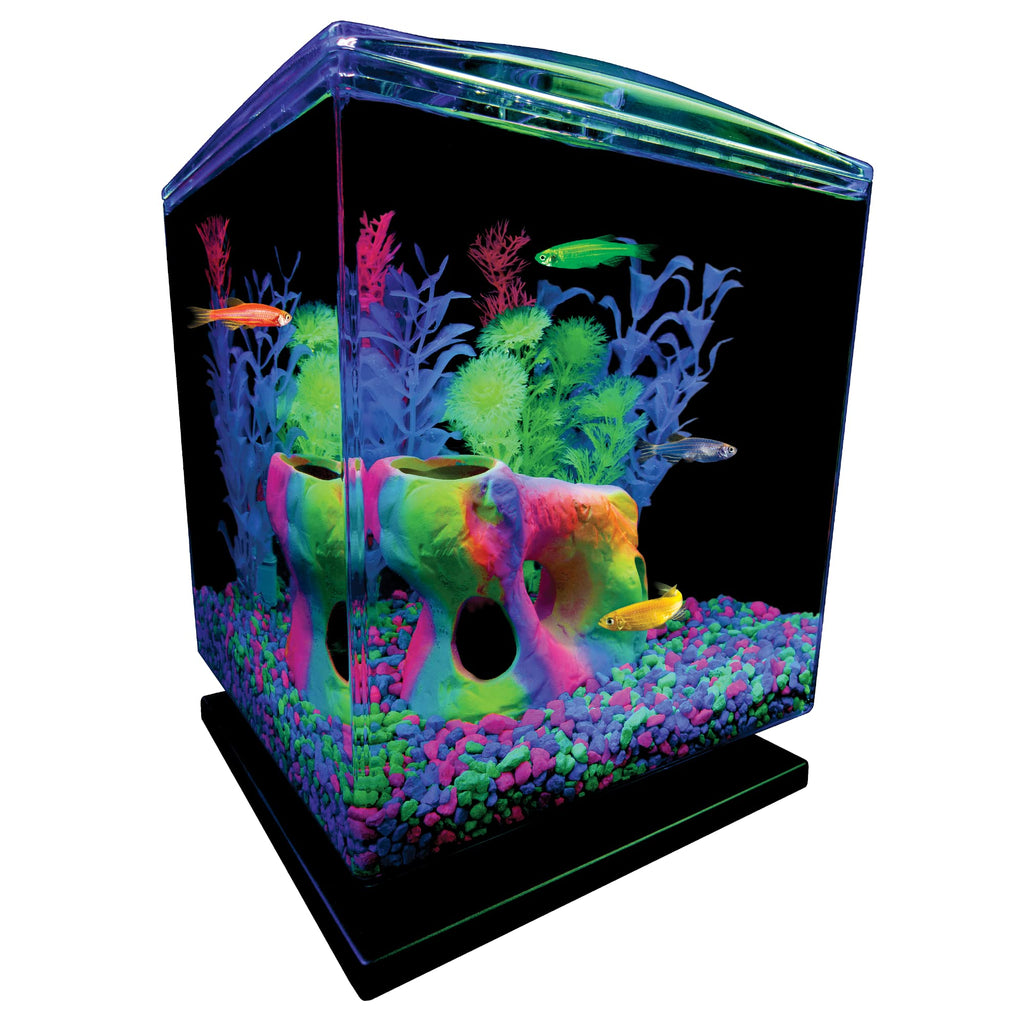 Aquarium Gravel 5 Pounds Y704702
