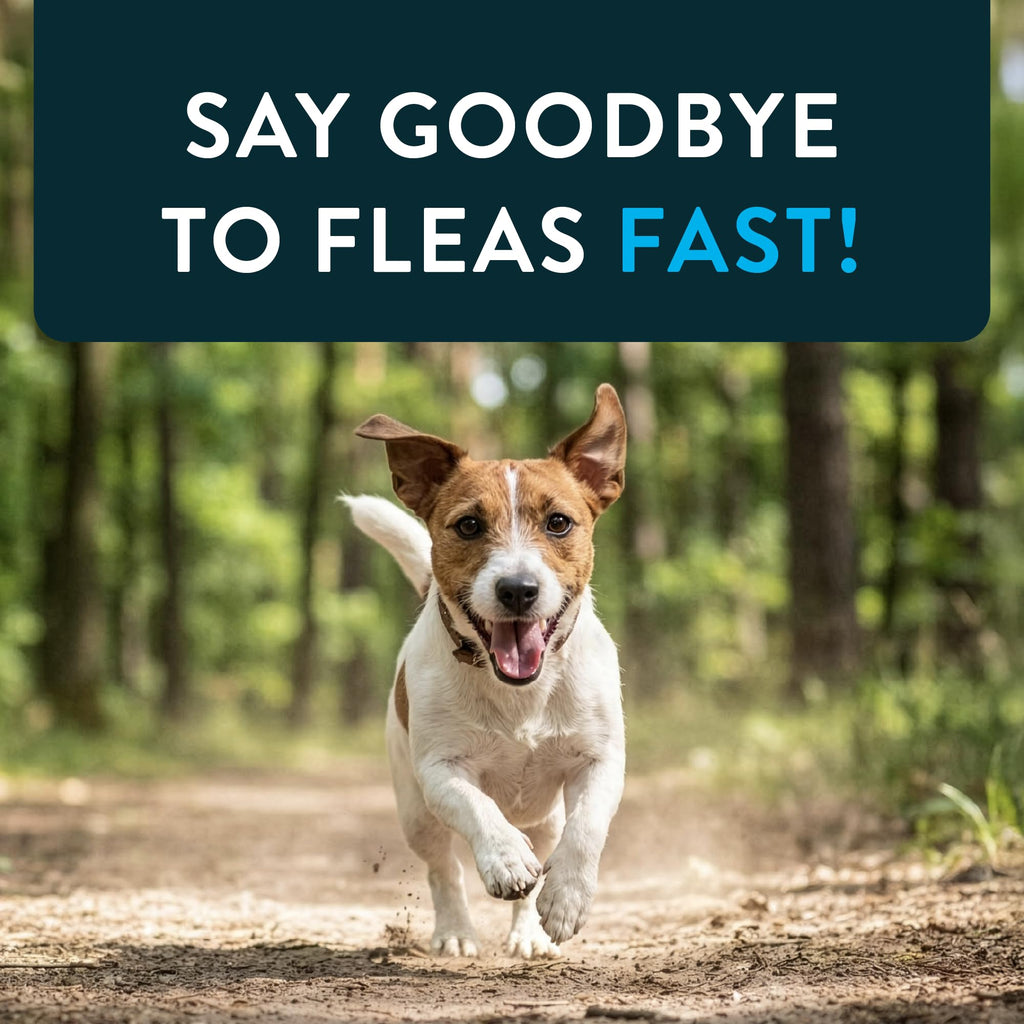 Oral Flea Tablets Dogs 2-25 lbs, Nitenpyram, 6-Dose E899