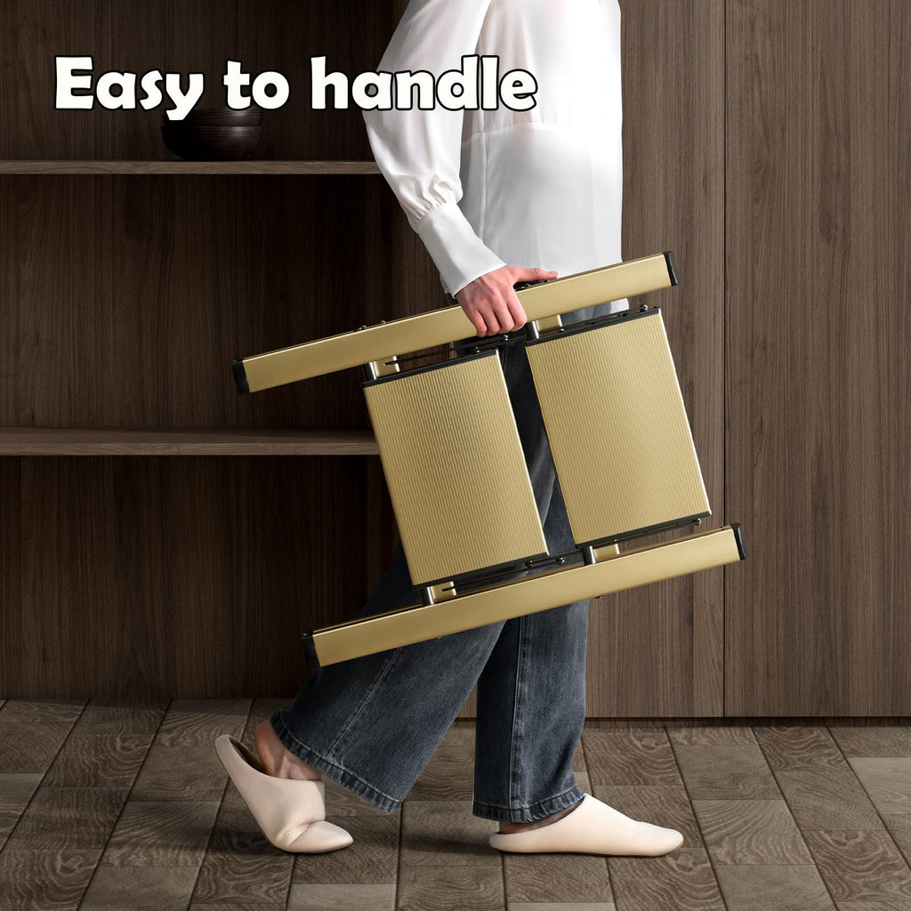2 Step Aluminum Foldable Step Stool L327582