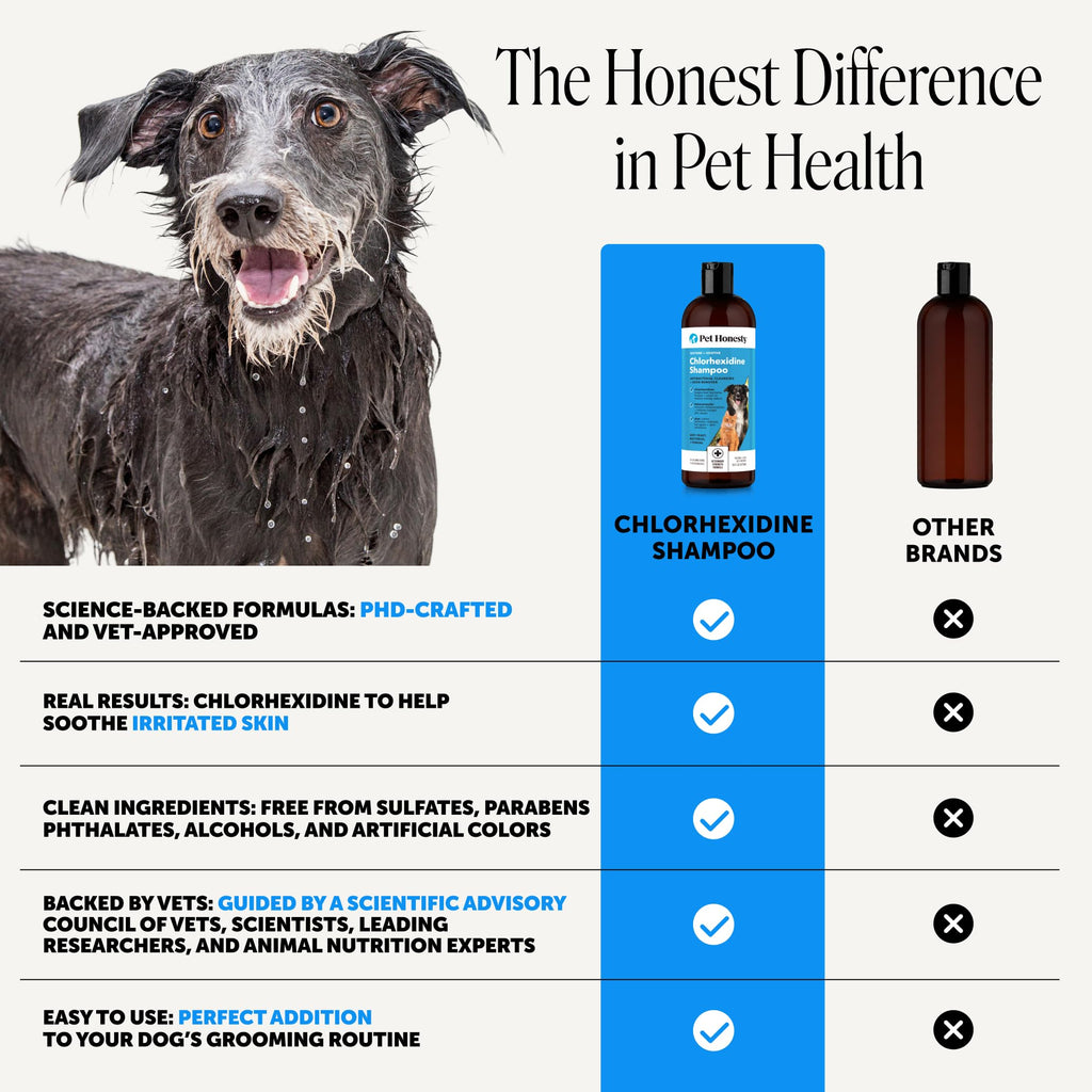 Chlorhexidine Dog Shampoo 16oz S737949
