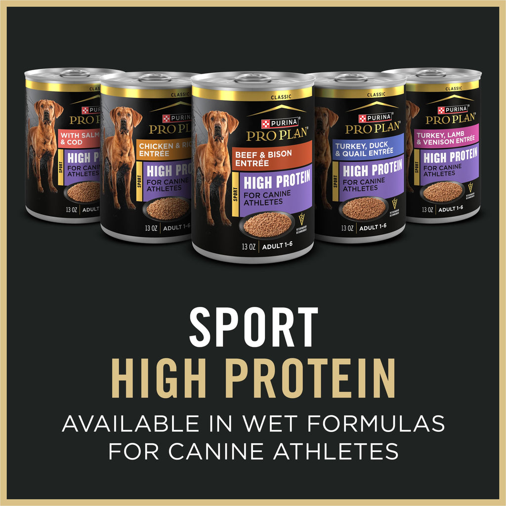 High Protein Small Bites Lamb & Rice Dog Food 37.5 Pound K984