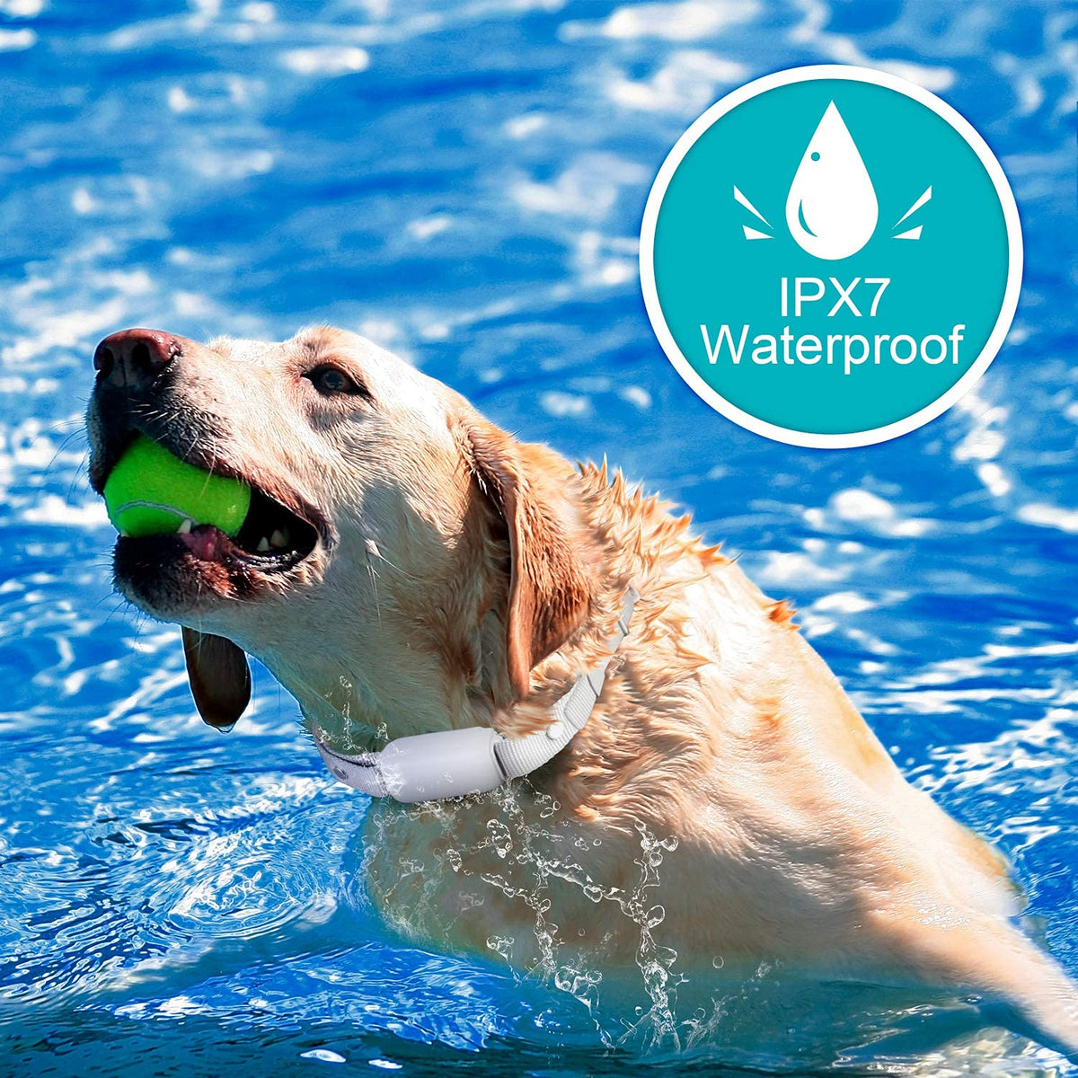 Waterproof Rechargeable Dog Training Collar with Remote E119962