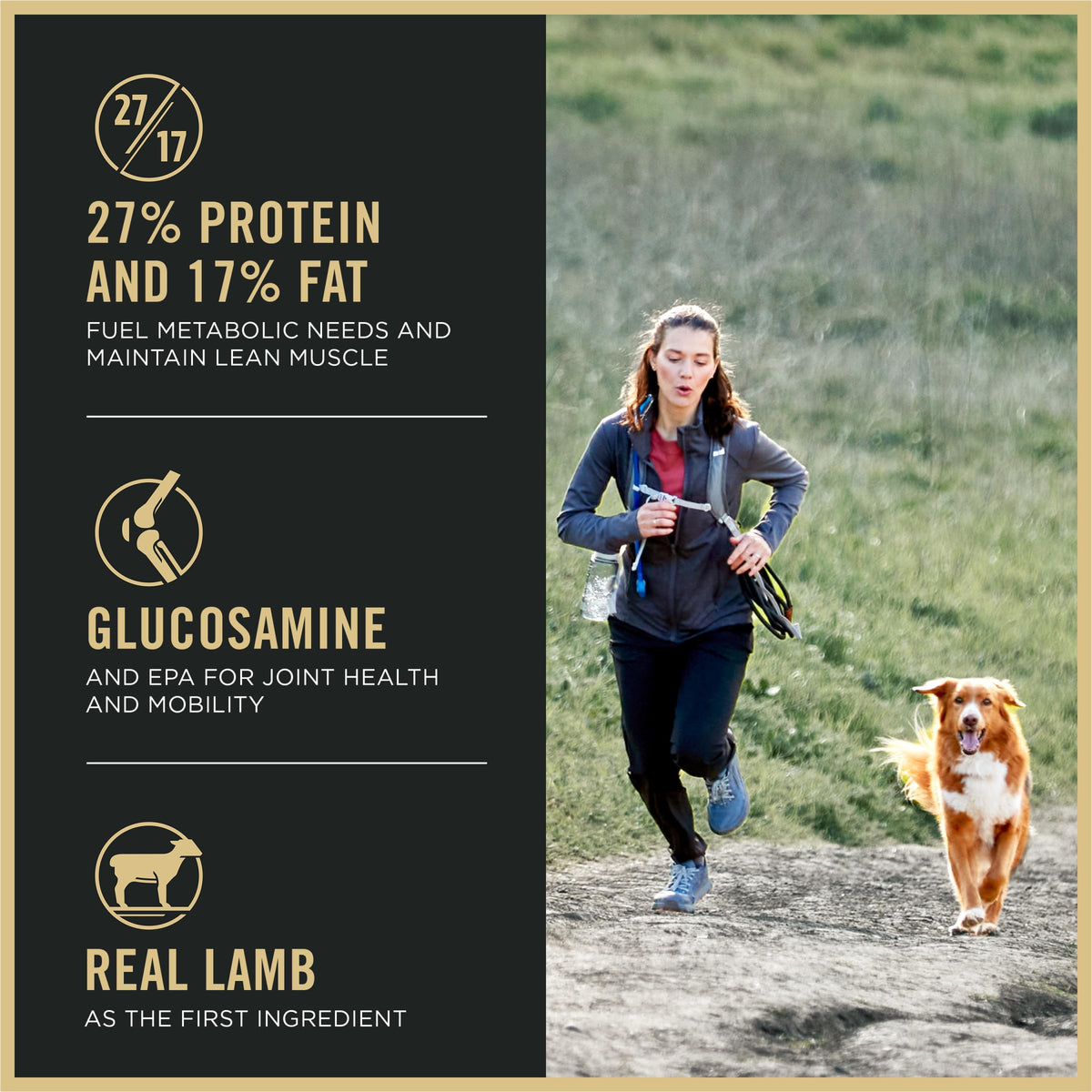High Protein Small Bites Lamb & Rice Dog Food 37.5 Pound K984