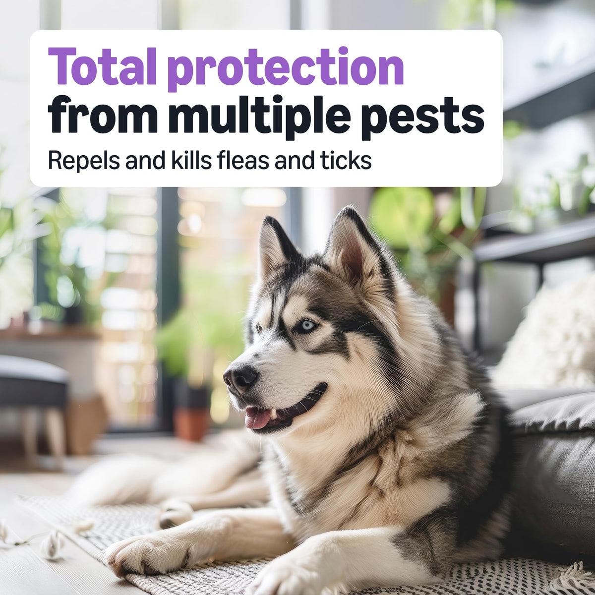 Flea and Tick Topical Treatment for Large Dogs 3 Count R816