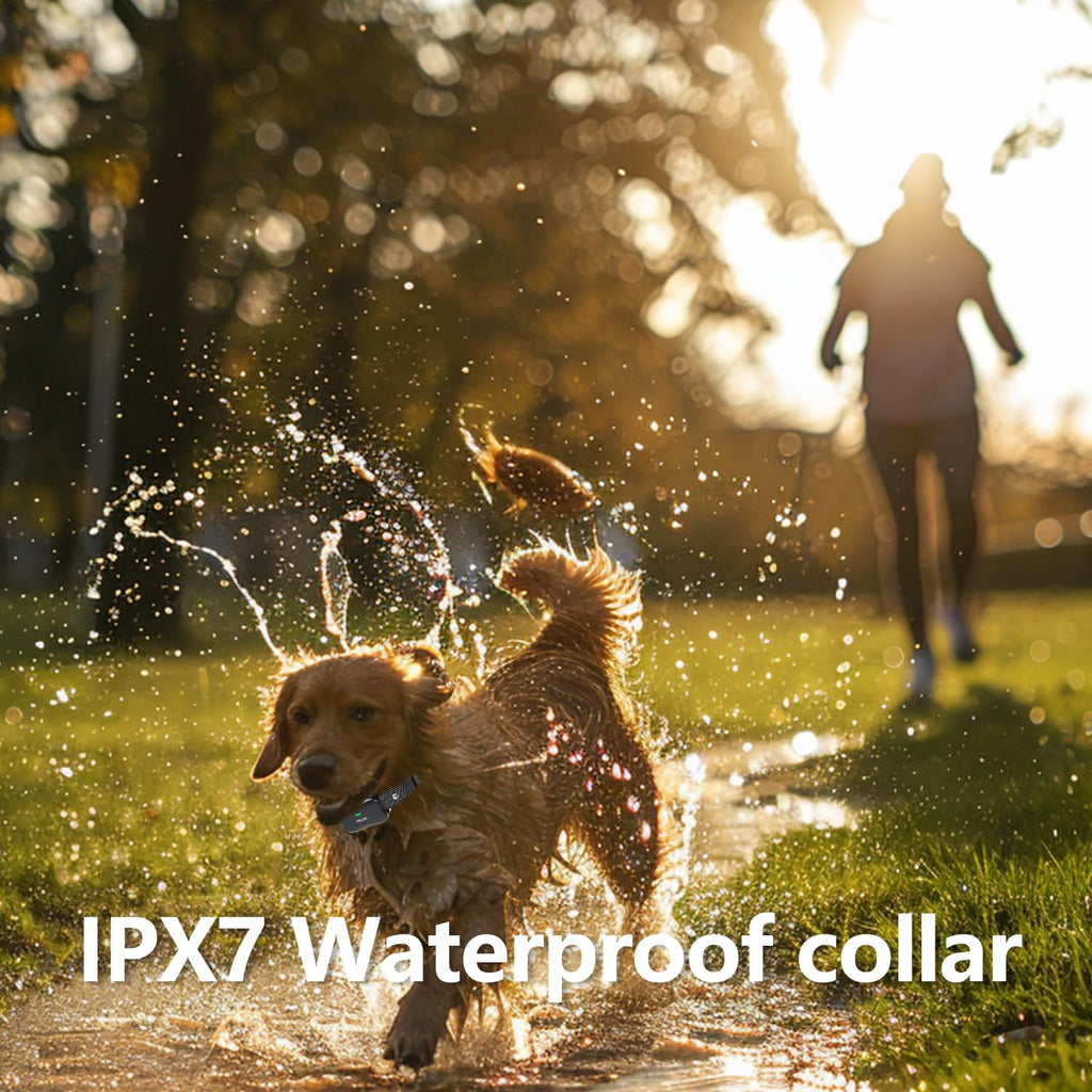 Wireless Dog Fence and Remote Training Collar, IPX7 Waterproof, 185 Days Rechargeable Battery Y976685