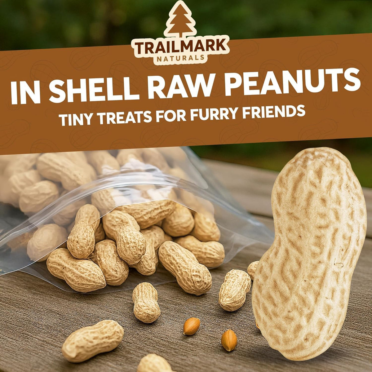 Raw In Shell Peanuts 30 Lb H700557