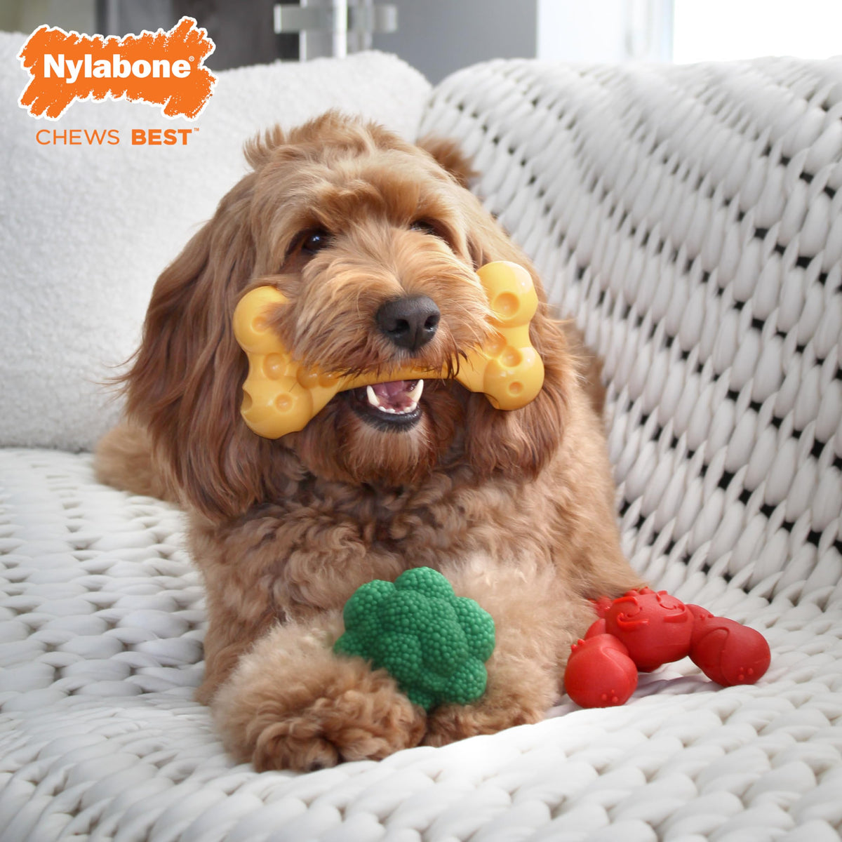 3 Pack Dog Chew Toys S41276