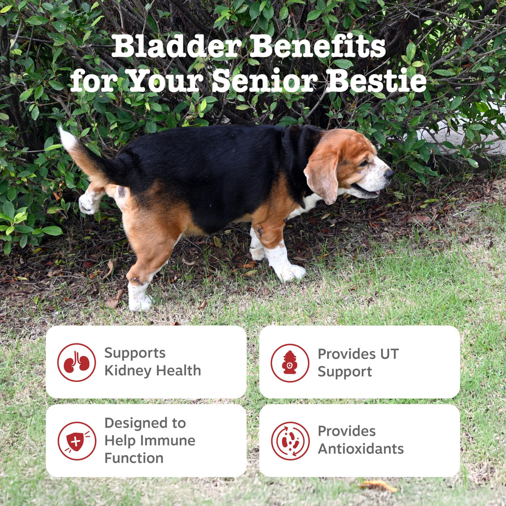 Senior Dog Bladder Control Supplement Chicken 90ct E7483